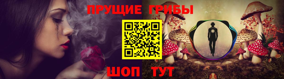 Псилоцибиновые грибы мухоморы Дивногорск